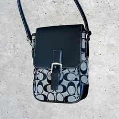 Item thumbnail for item 8c3bf4f9-5cda-485e-a047-ae1504c1cce9