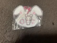 サンリオキャラクターズ　パッケージチャーム【ウィッシュミーメル】のサムネイル