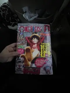 ワンピース　マガジン　プロモ付