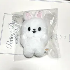 SKZOO Leebit リービット バンザイ 10cmぬいぐるみ - メルカリ