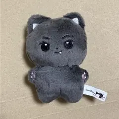 2026年最新】enhypen ジェイ ぬいぐるみ マスターの人気アイテム