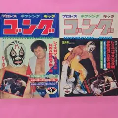 週刊ゴング ヒクソン・グレイシー 船木誠勝 コロシアム2000 - メルカリ