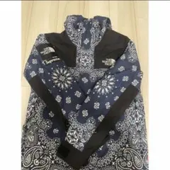 【希少】Supreme TheNorthFace Bandana Parka