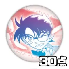 名探偵コナン 公式アプリ 神奈川シリーズ 缶バッジ 江戸川コナン 30点