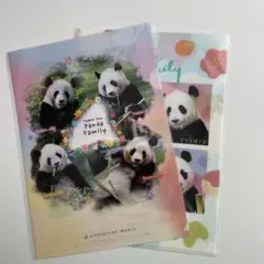 アドベンチャーワールド パンダ クリアファイル/パンフレット レア 2025年最新】アドベンチャーワールド パンダ クリアファイルの人気