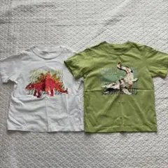 GU 恐竜Tシャツ2枚セット120cm