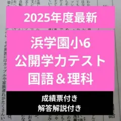 2026年最新】浜学園 小6 公開の人気アイテム - メルカリ