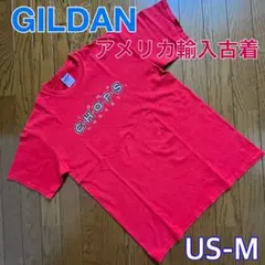 GILDAN ギルダン ウルトラコットン プリント Tシャツ US輸入古着M