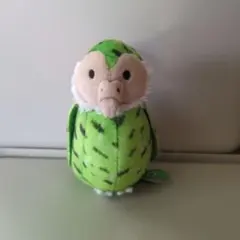 とりのぬいぐるみ　カカポ