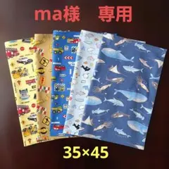 ma様★ランチョンマット【4枚セット】働く車、海の生き物☆35×45