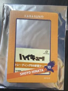 ハイキュー　日向翔陽　東武動物公園コラボ　B8硬質ケース