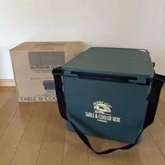 TWINBIRD NEEDLE LEAF TABLE & COOLER BOX