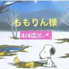 ももりん様 専用ページ