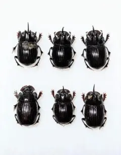 user_c2169bab様 リクエスト 2点 まとめ商品