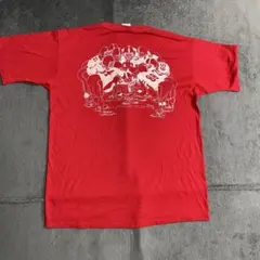 90s JERZEES ジャージーズ　Tシャツ　シングルステッチ　アメフト　両面