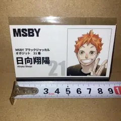 ハイキュー ファンパーク 名刺カード 日向翔陽