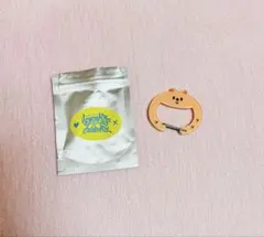 Stray Kids スキズ　カラビナ　ランダム　ソウルコン　ＭＤ　クオッカ