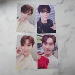 会場限定　ディノ　消費期限　spill the feels トレカ　大阪