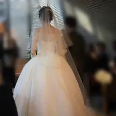 ✳︎トリートドレッシング ロングベール✳︎