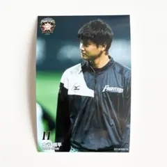 Item thumbnail for item bb2e623b-5a80-4ef9-8332-e02403ebfd10