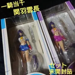 2点セット 未開封 一騎当千 関羽雲長 1/10 リアルフィギュアのサムネイル