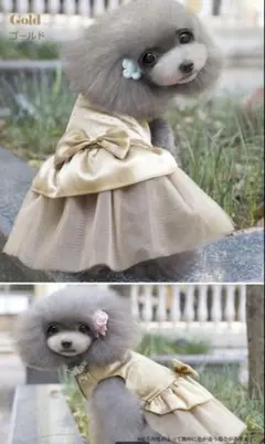 犬服 プリンセスドレス ゴールド