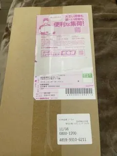 ポケモンセンター　トウホクスペシャルボックス 新品未開封　再販当選品