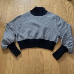 JEANASIS ニットセーター サイズF