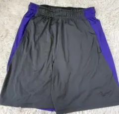 Nike ショートパンツ グレー/パープルのサムネイル