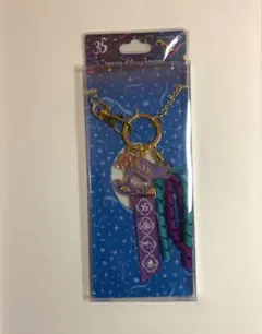 ディズニー 35周年バックチャーム キーホルダー