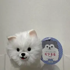 Item thumbnail for item bb794b3a-394a-414a-9111-088ff0bb3bbd