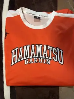 Item thumbnail for item e007d282-d282-48d4-b662-a1ed914908da