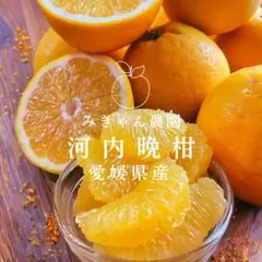 ジューシー✨愛媛県西宇和産　河内晩柑　サイズ混合7キロ　和製グレープフのサムネイル