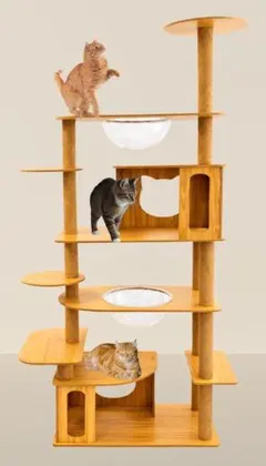 Item thumbnail for item 42396d0e-5b73-4231-baa0-fca32d10c20a