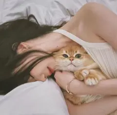 2026年最新】Ado ぬいぐるみ 生まれましたよの人気アイテム - メルカリ