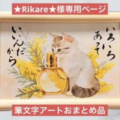 ★Rikare★様専用ページ 筆文字アートおまとめ品