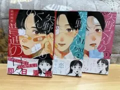 矢野くんの普通の日々 全3巻セット
