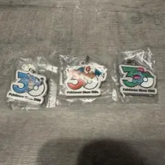 ポケモン 30周年 メタルチャームマスコット フシギバナ リザードン カメックス