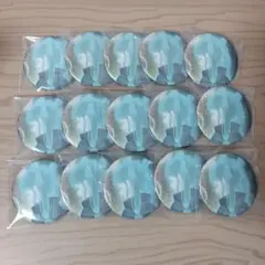 ビビミク 缶バッジ