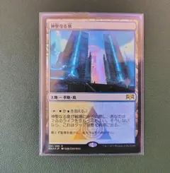 2026年最新】神聖なる泉の人気アイテム - メルカリ