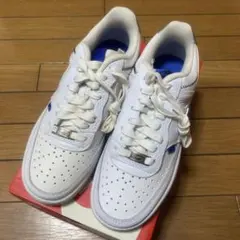 NIKE ウィメンズコートビジョン　LO SE 24.5