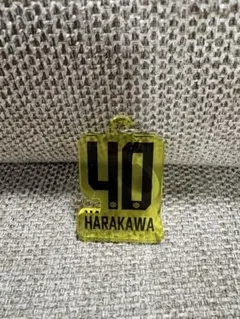 Item thumbnail for item 5a6a5ecd-f86a-473d-a4b8-94d810c85021