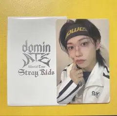 straykids フィリックス 特典 トレカ フォトカ