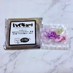 ハイキュー アクリルバッジコレクション 宮侑