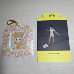 TWICE 志效 JYP 官方周邊 卡套 TWICE 彩瑛