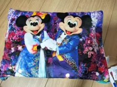 東京ディズニーリゾート クッション ブランケット