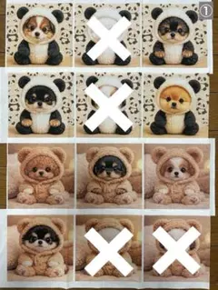 12/30 わんちゃん・とりさん　パネル