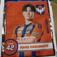 ALBIREX NIIGATA 42番 橋本健人選手 巾着