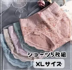 【新品】5枚 ショーツ レディース 温活 まとめ売り インナー XL 高通気性