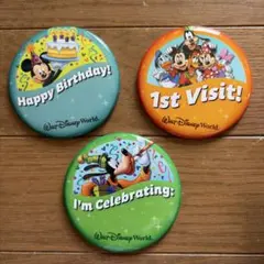 【非売品・希少】WDW 記念缶バッジ 3個セット